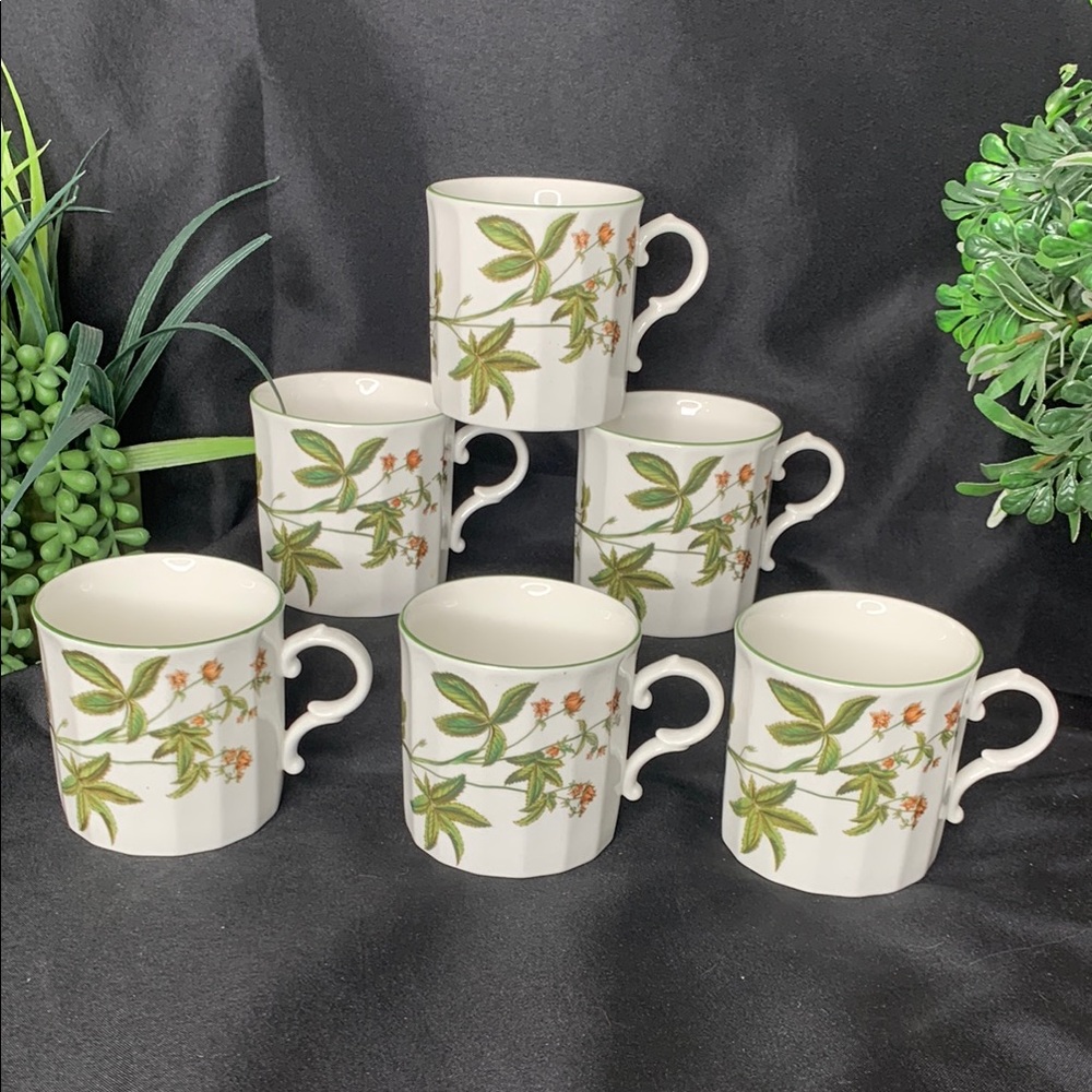 Set of 6 vintage Mikasa Ultra ceram Botany tea cups / coffee mugs